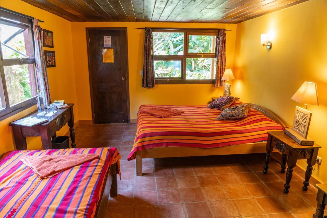 Hotel La Iguana Perdida